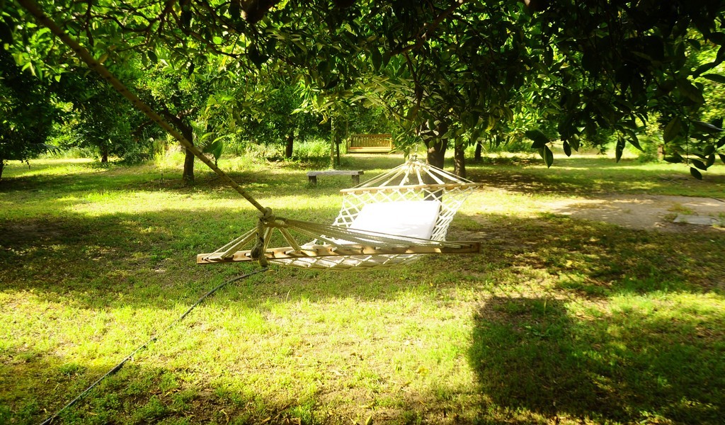ciraliyavuz